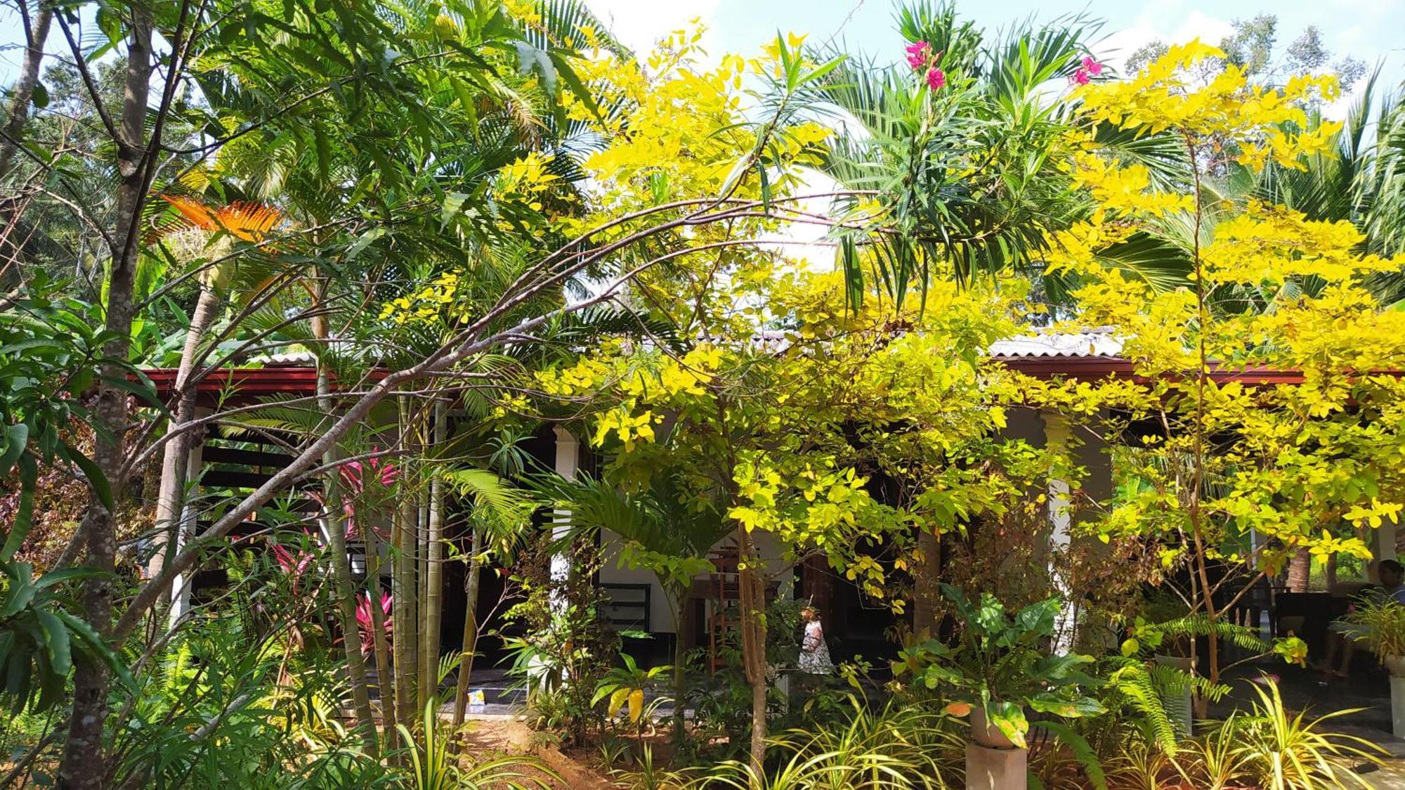 Yashi'S Place สิกิริยา ภายนอก รูปภาพ