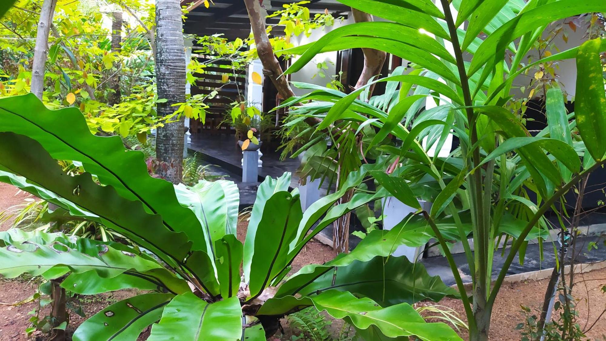 Yashi'S Place สิกิริยา ภายนอก รูปภาพ