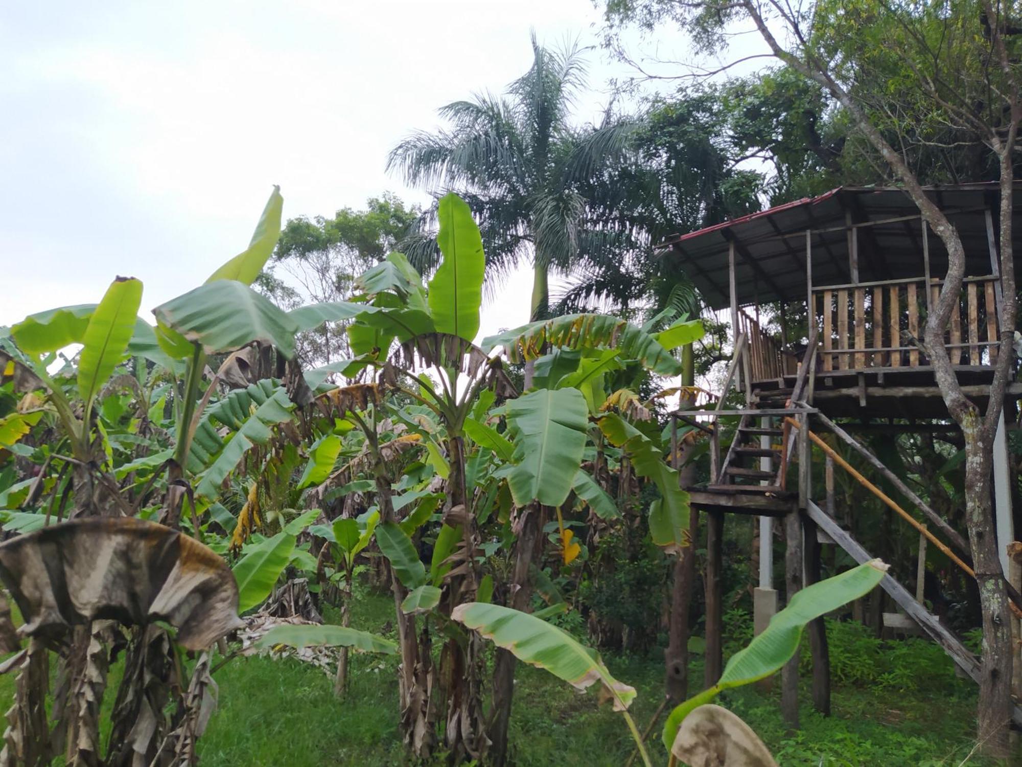 Yashi'S Place สิกิริยา ภายนอก รูปภาพ