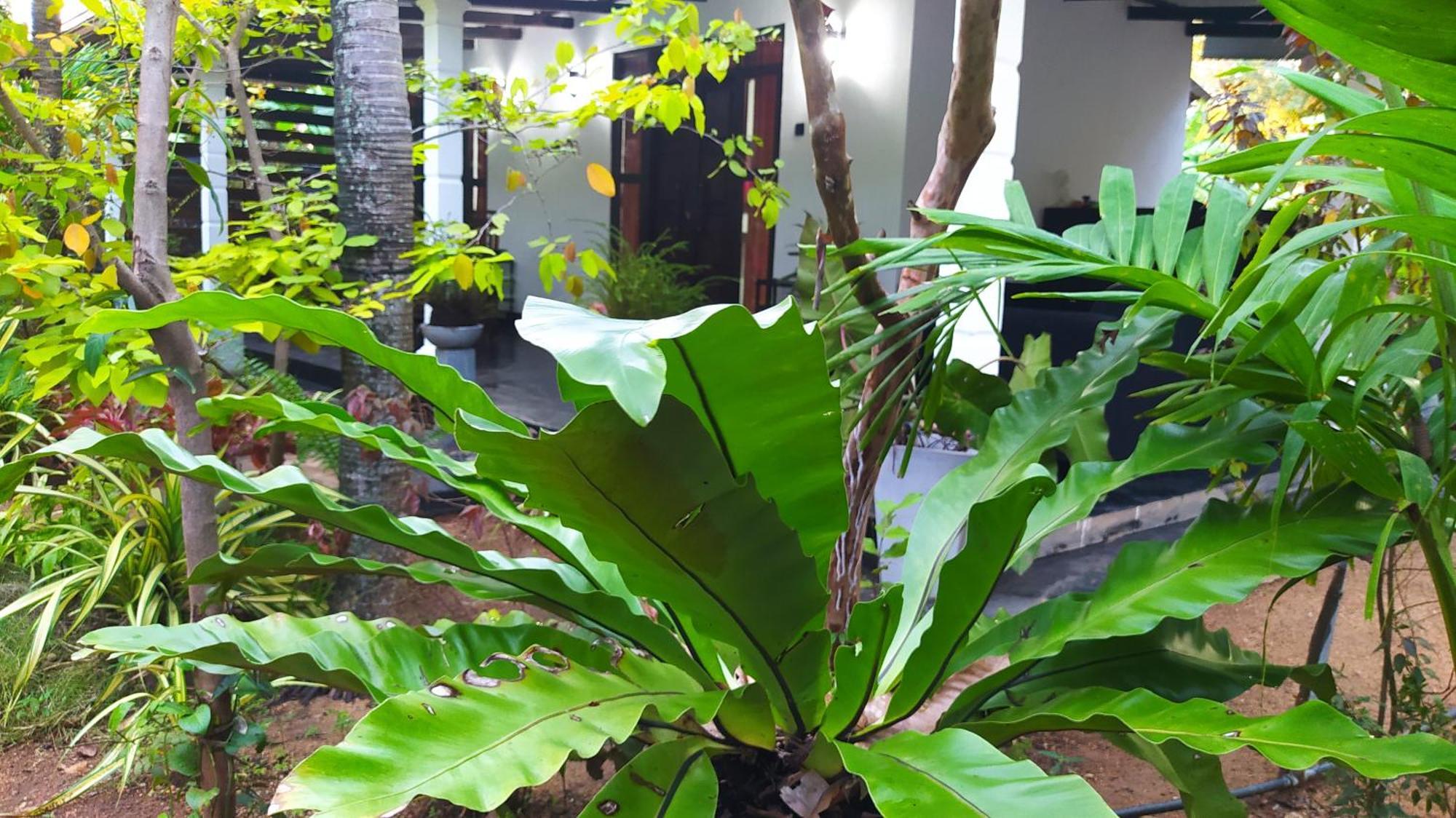 Yashi'S Place สิกิริยา ภายนอก รูปภาพ