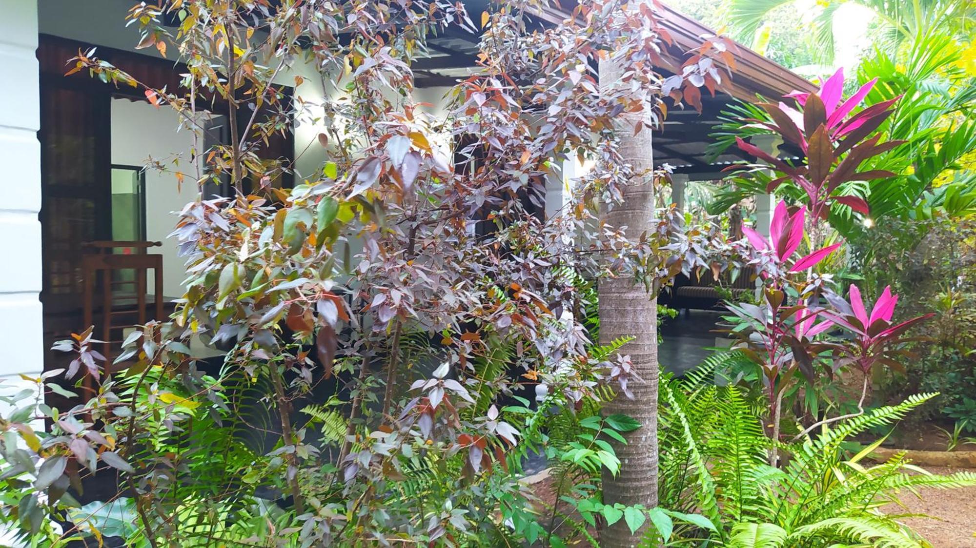Yashi'S Place สิกิริยา ภายนอก รูปภาพ